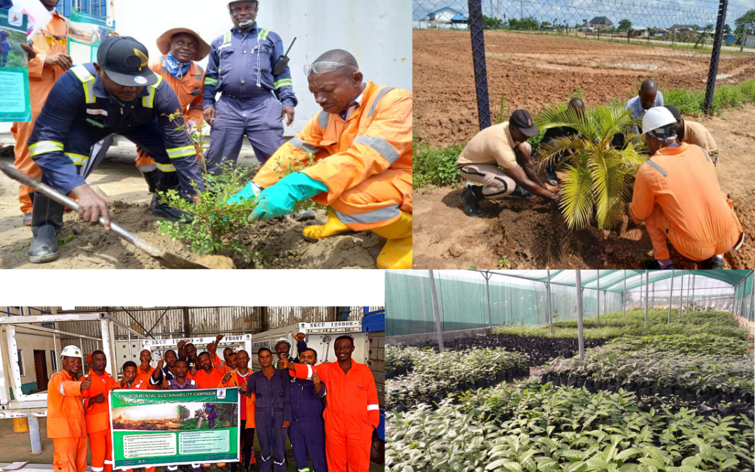 SEEPCO reinforces commitment to planting 10,000 trees annually in Nigeria